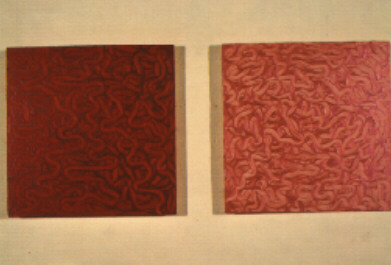 Maya, Freakish Pleasures